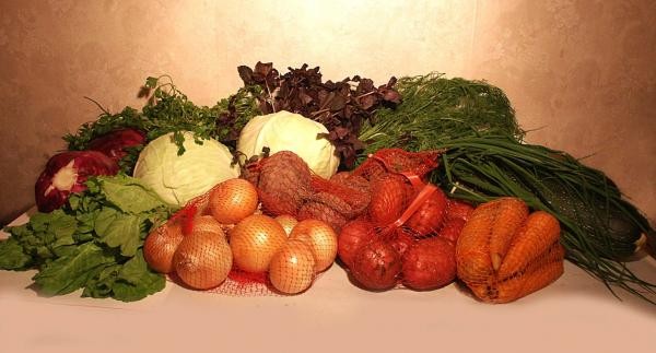 Районированные сорта картофеля, овощных культур, рекомендуемые для коллективного и приусадебного выращивания в кировской области