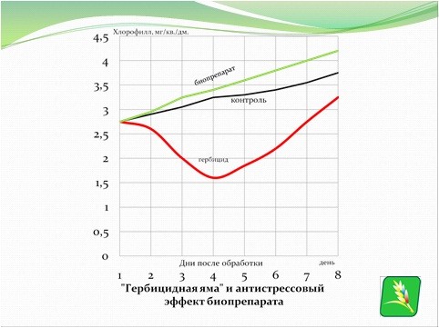 'гербицидная яма' и антистрессовый эффект биопрепарата