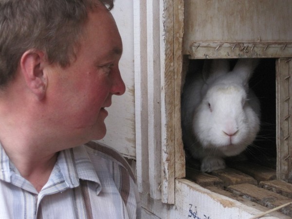 Нема: кролики – это не только ценный мех…