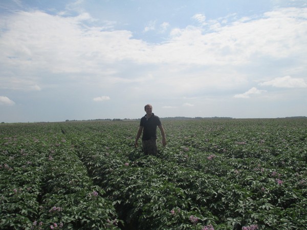 Никита Савков на своем картофельном поле
